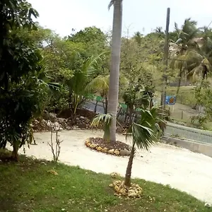 https://villa-les-violettes.comcaribbean.com